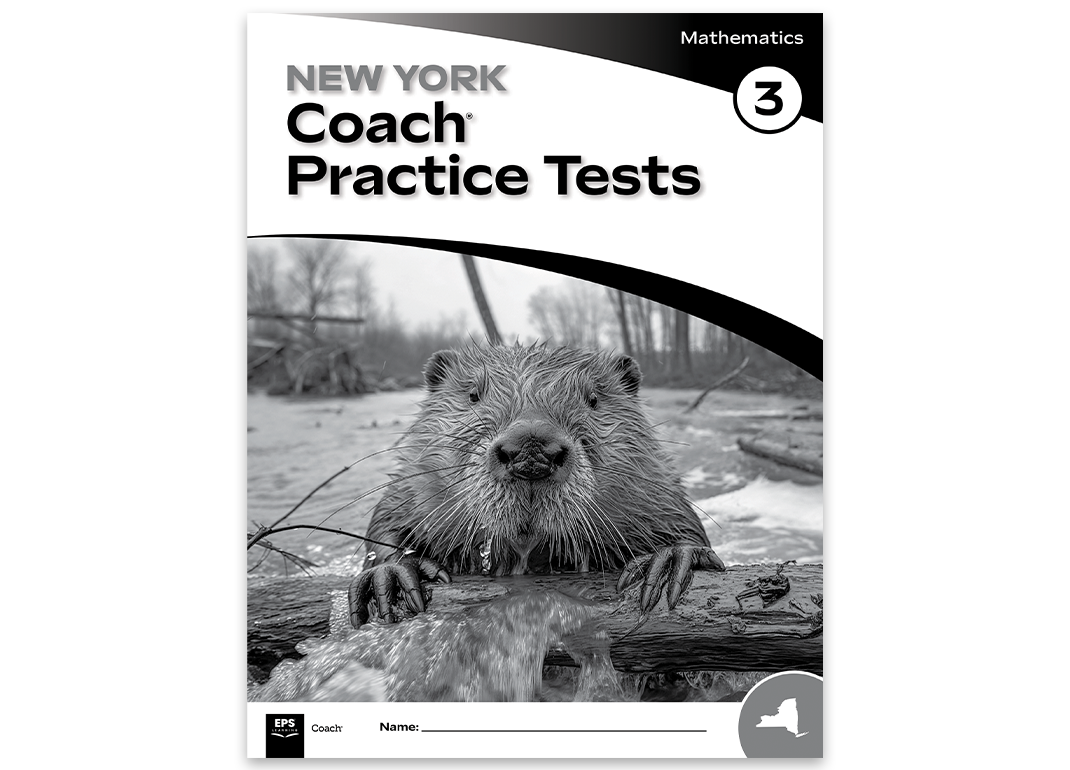 new-york-practice-tests-math new-york-practice-tests-math